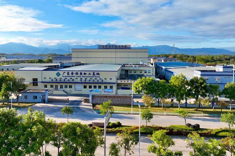 广东金枪鱼加工基地