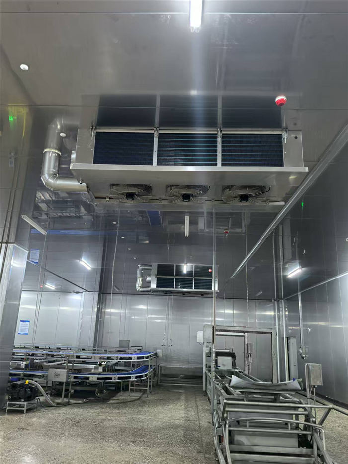 吊顶双出风冷风机