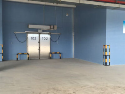 电动平移冷库门（双开）